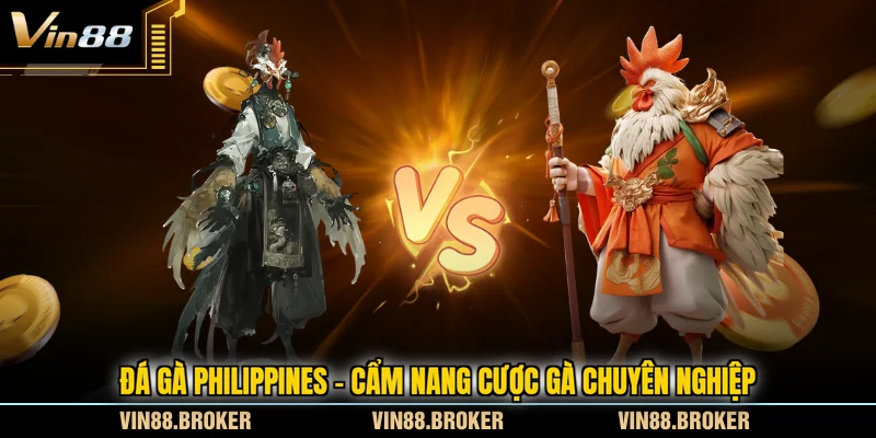 Đá Gà Philippines - Cẩm Nang Cược Gà Chuyên Nghiệp